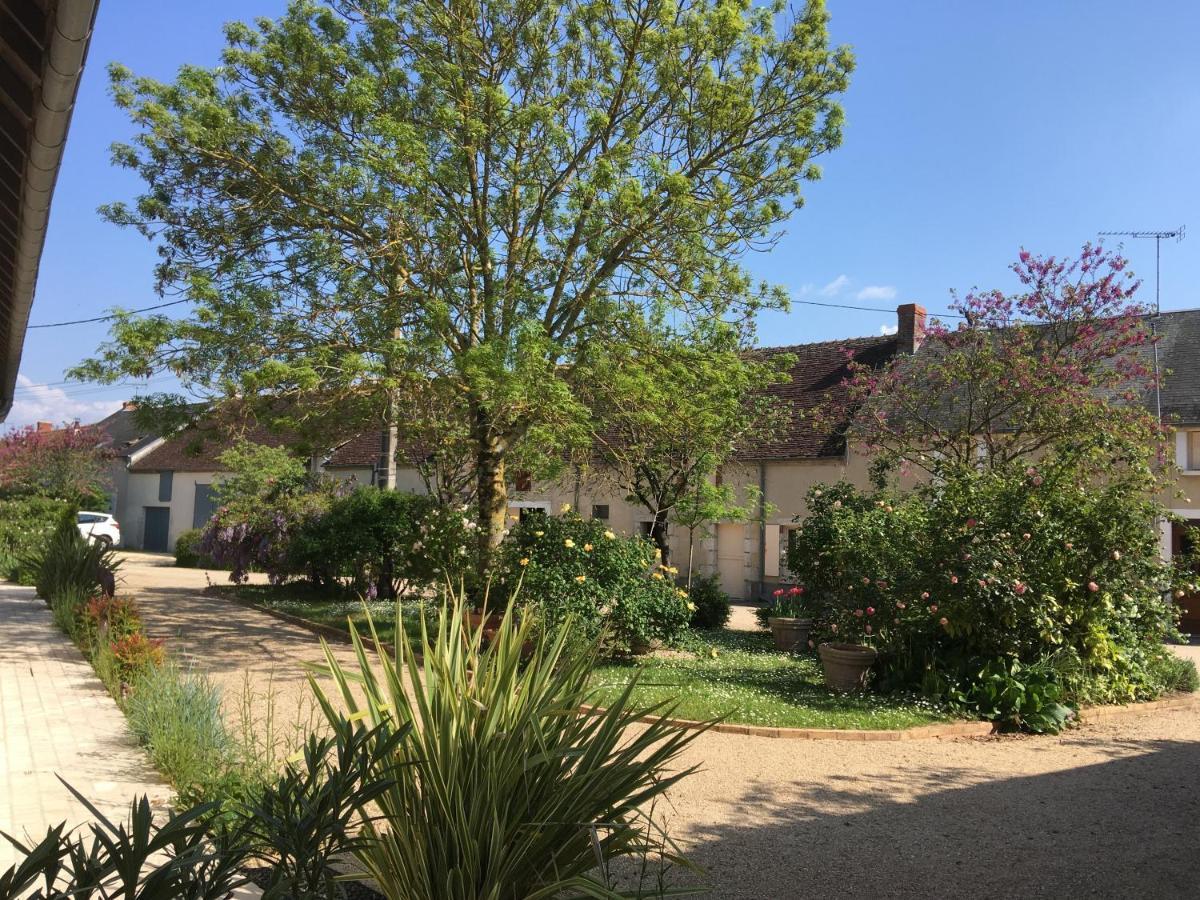 La Maison De Philomene Le Grand Entrevin Luaran gambar